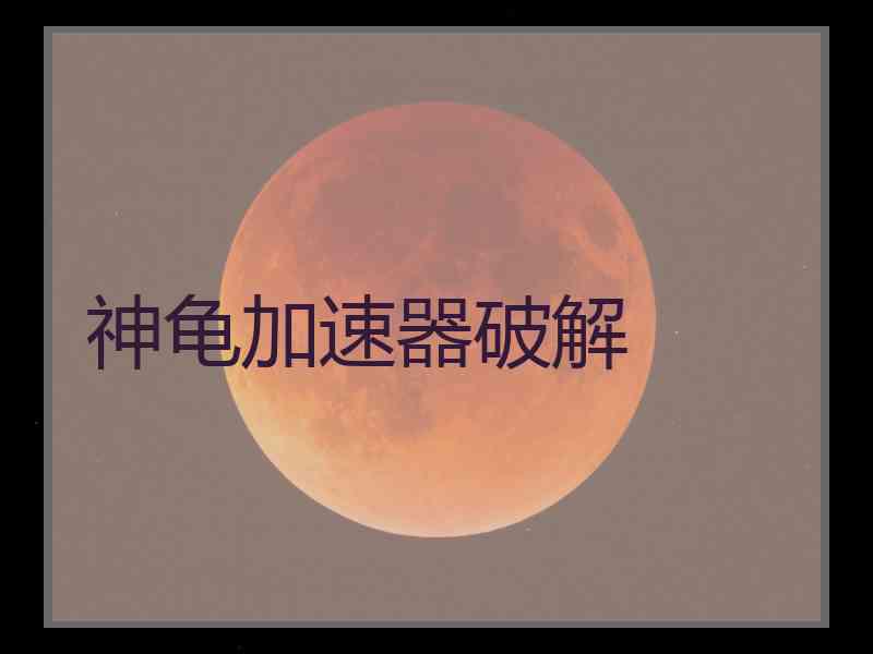 神龟加速器破解