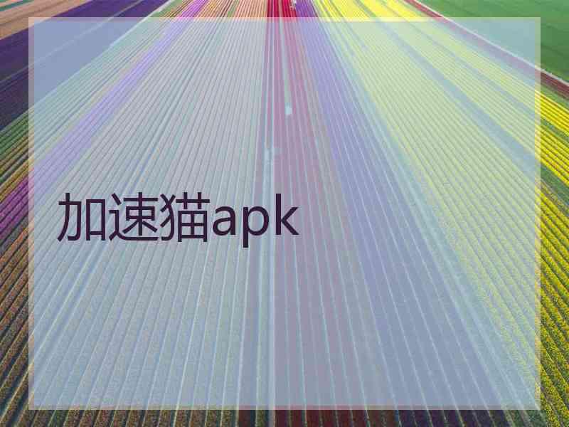 加速猫apk