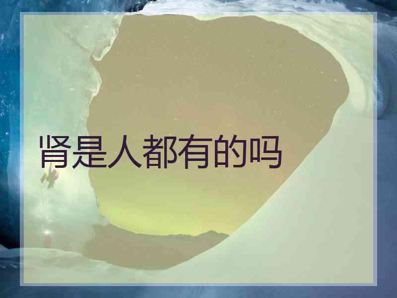 肾是人都有的吗