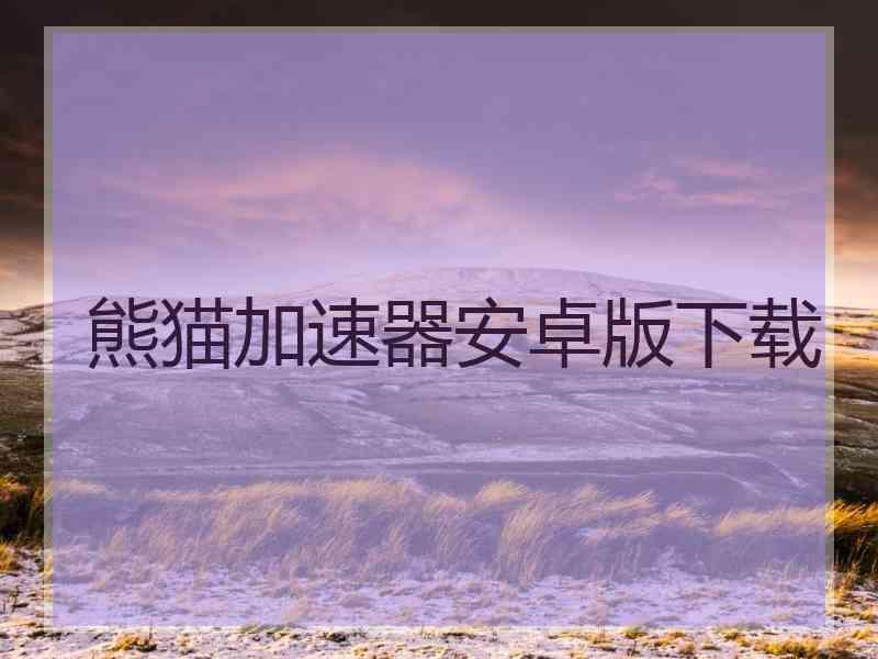 熊猫加速器安卓版下载
