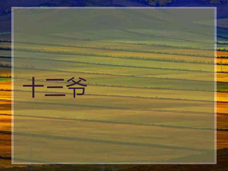 十三爷