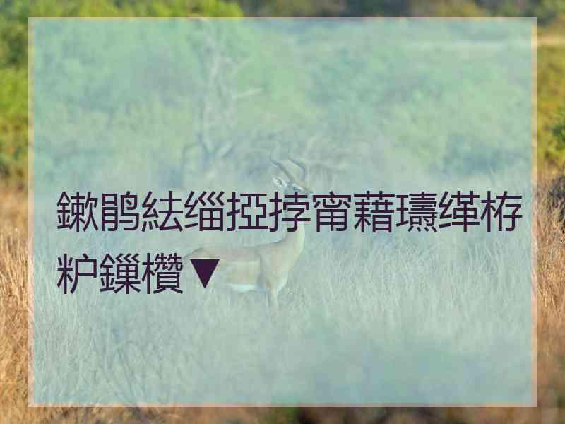 鏉鹃紶缁掗挬甯藉瓙缂栫粐鏁欑▼