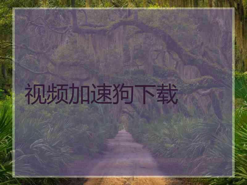 视频加速狗下载