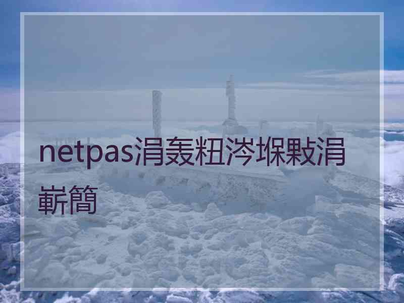 netpas涓轰粈涔堢敤涓嶄簡