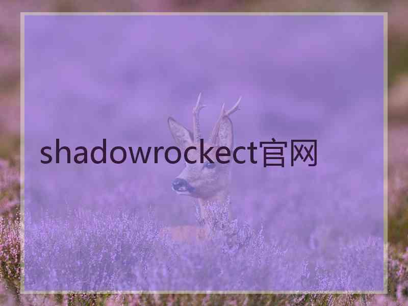 shadowrockect官网