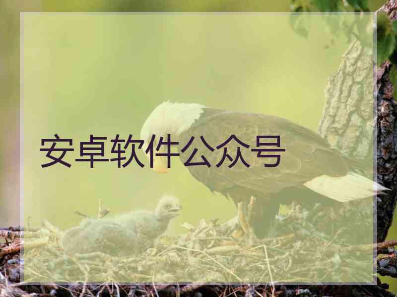 安卓软件公众号