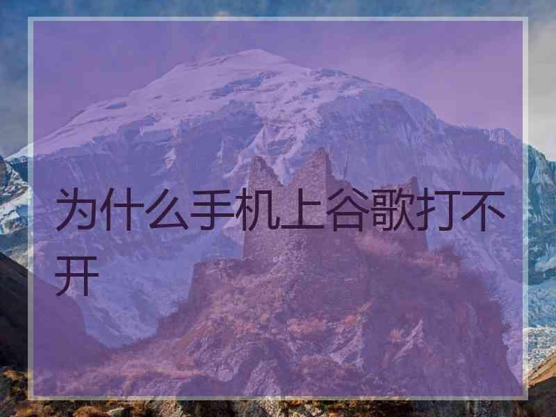 为什么手机上谷歌打不开