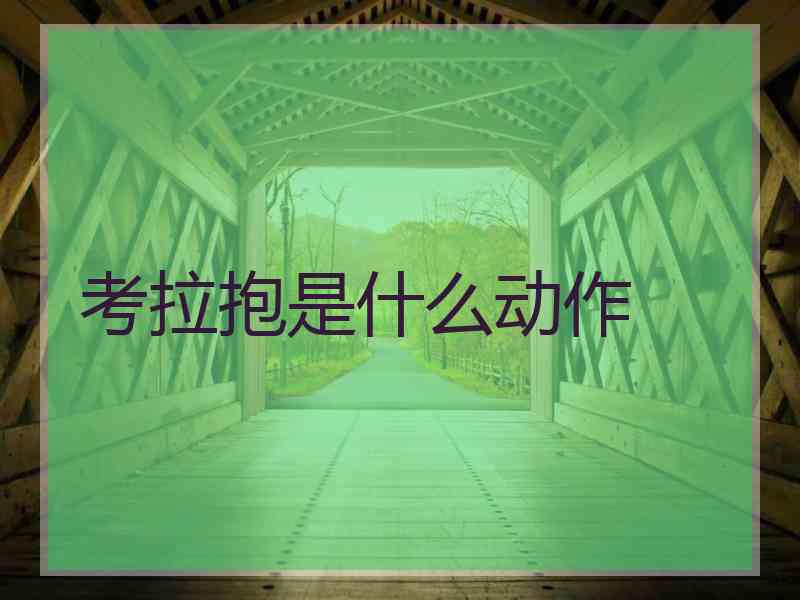 考拉抱是什么动作