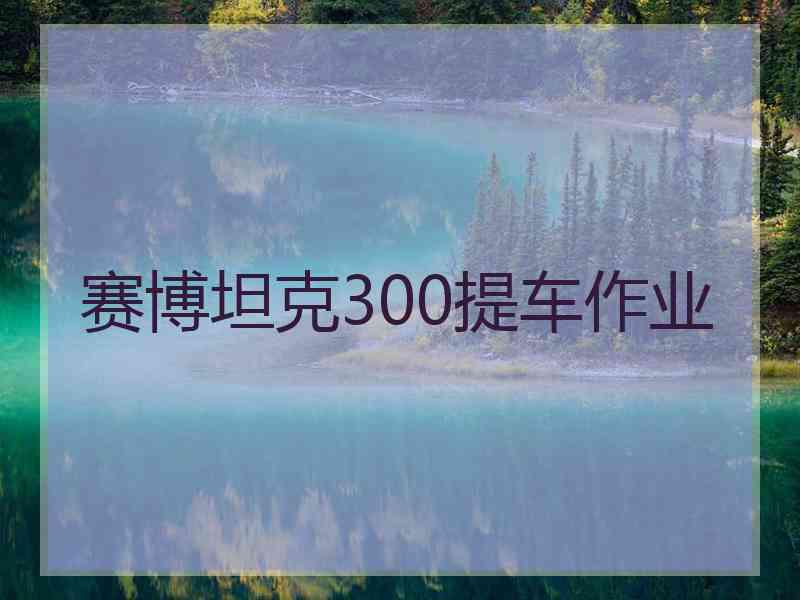 赛博坦克300提车作业