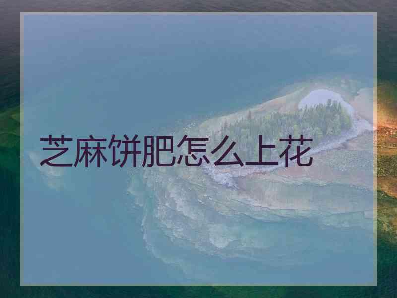 芝麻饼肥怎么上花