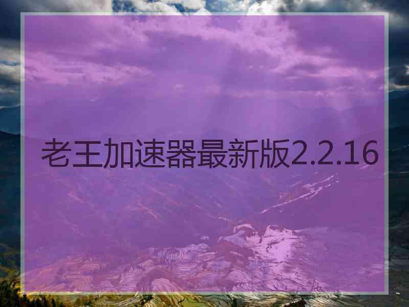 老王加速器最新版2.2.16