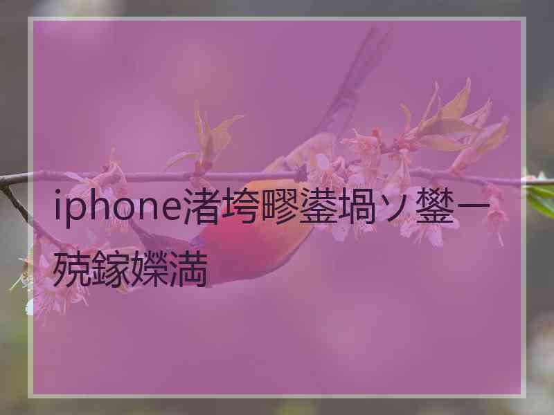 iphone渚垮疁鍙堝ソ鐢ㄧ殑鎵嬫満
