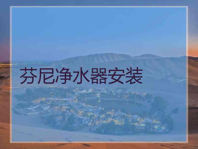 芬尼净水器安装