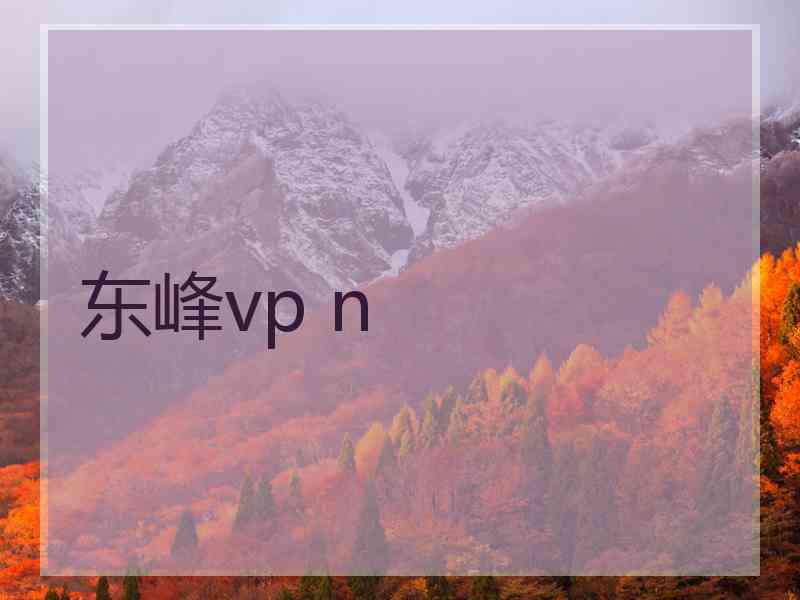 东峰vp n