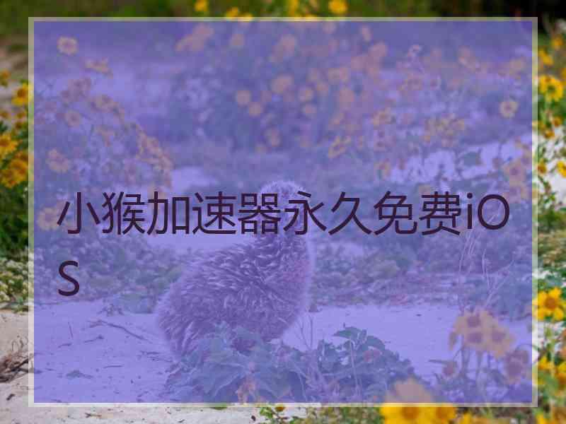 小猴加速器永久免费iOS