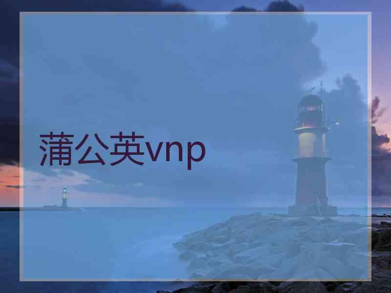 蒲公英vnp