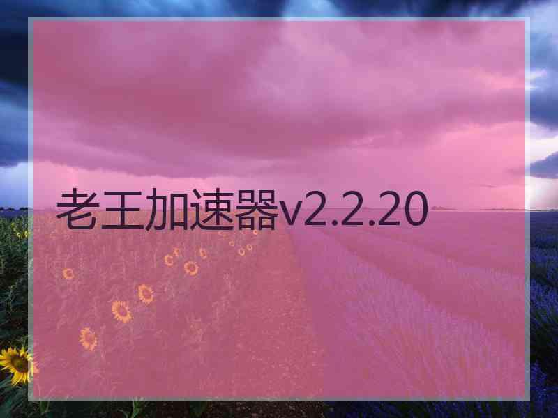 老王加速器v2.2.20