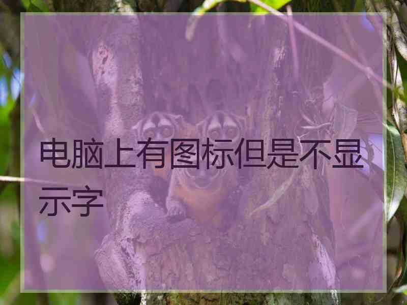 电脑上有图标但是不显示字