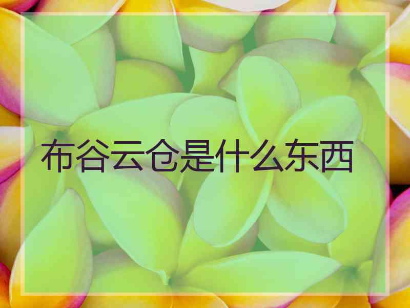 布谷云仓是什么东西