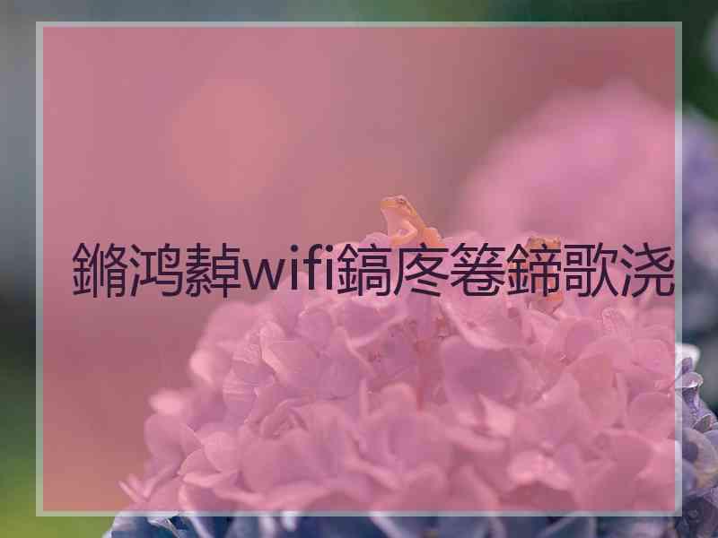 鏅鸿繛wifi鎬庝箞鍗歌浇