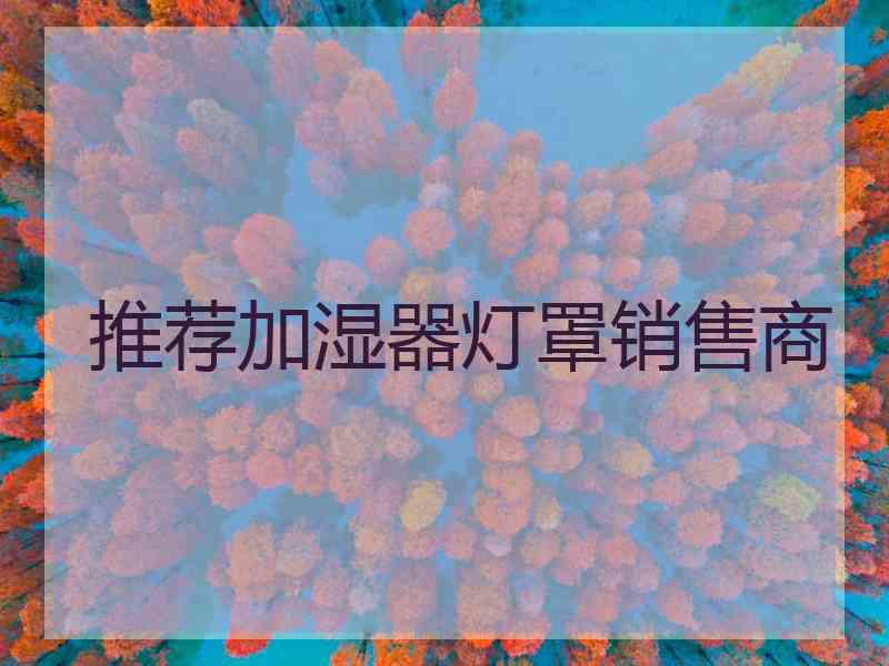 推荐加湿器灯罩销售商