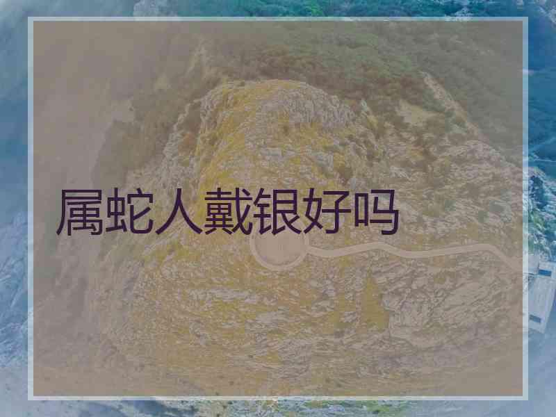 属蛇人戴银好吗
