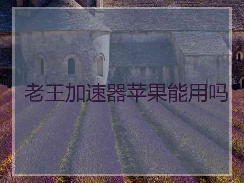老王加速器苹果能用吗