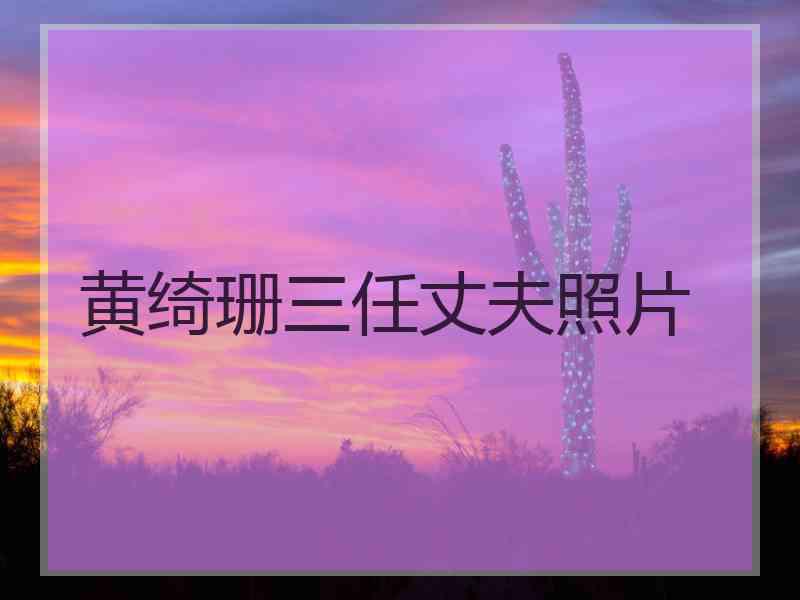 黄绮珊三任丈夫照片