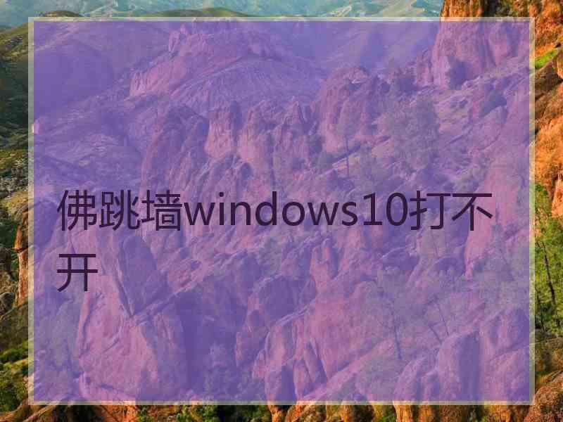佛跳墙windows10打不开