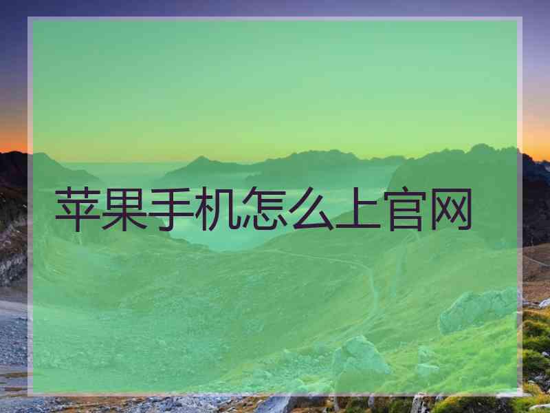 苹果手机怎么上官网