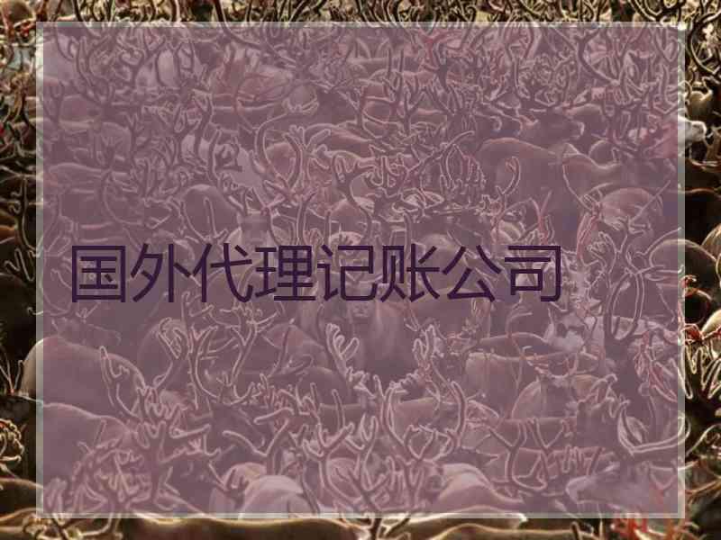 国外代理记账公司