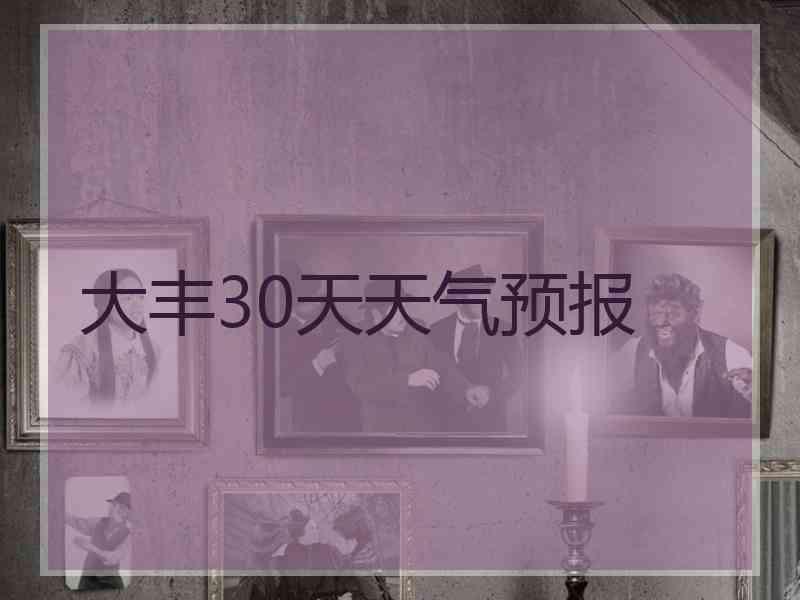 大丰30天天气预报