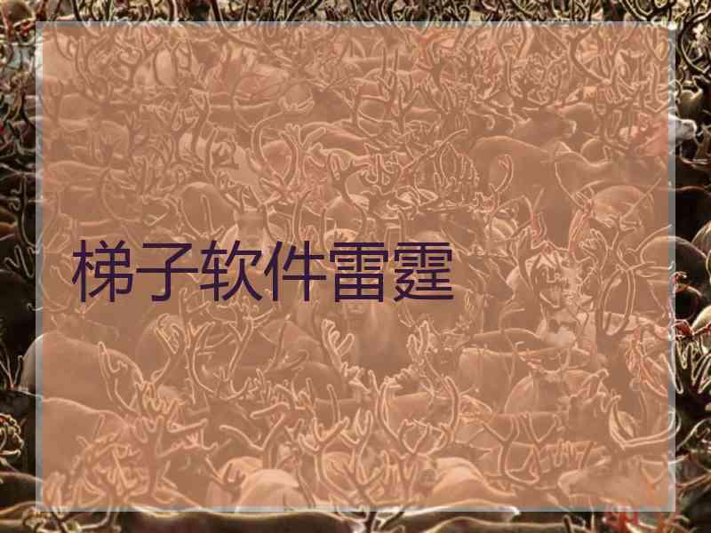 梯子软件雷霆