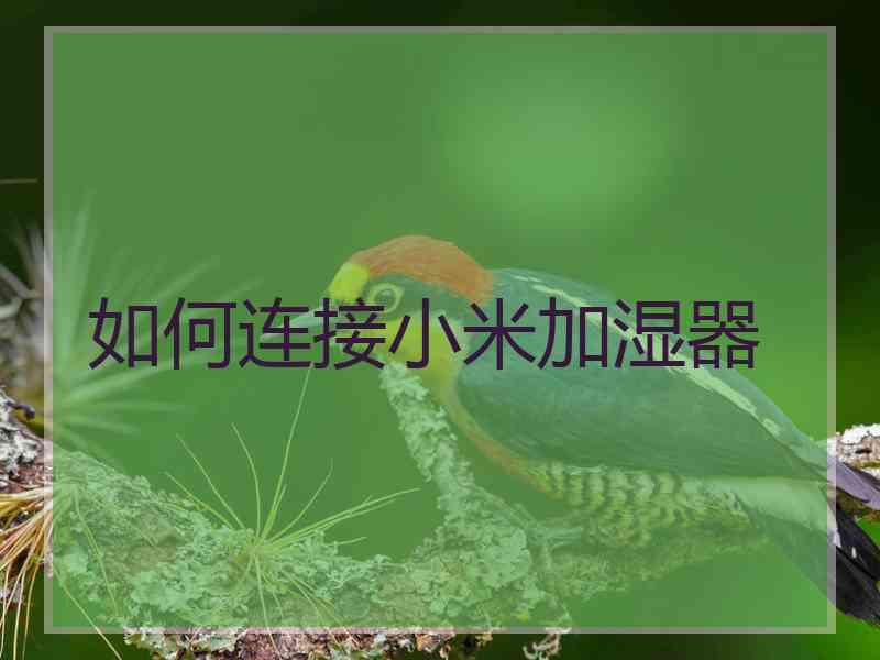 如何连接小米加湿器