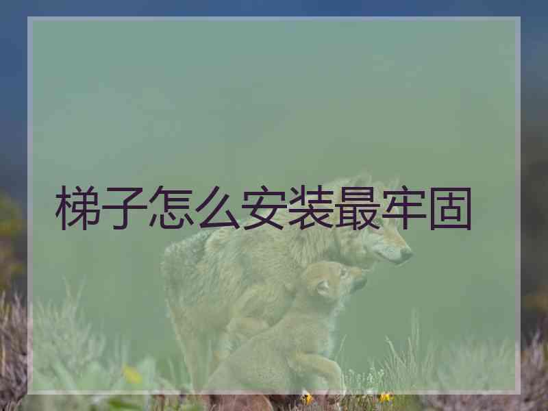 梯子怎么安装最牢固