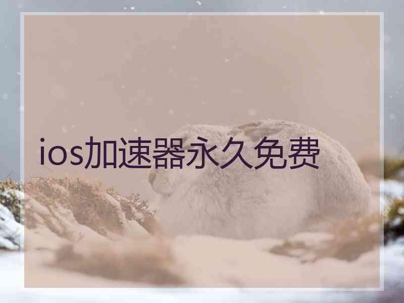 ios加速器永久免费