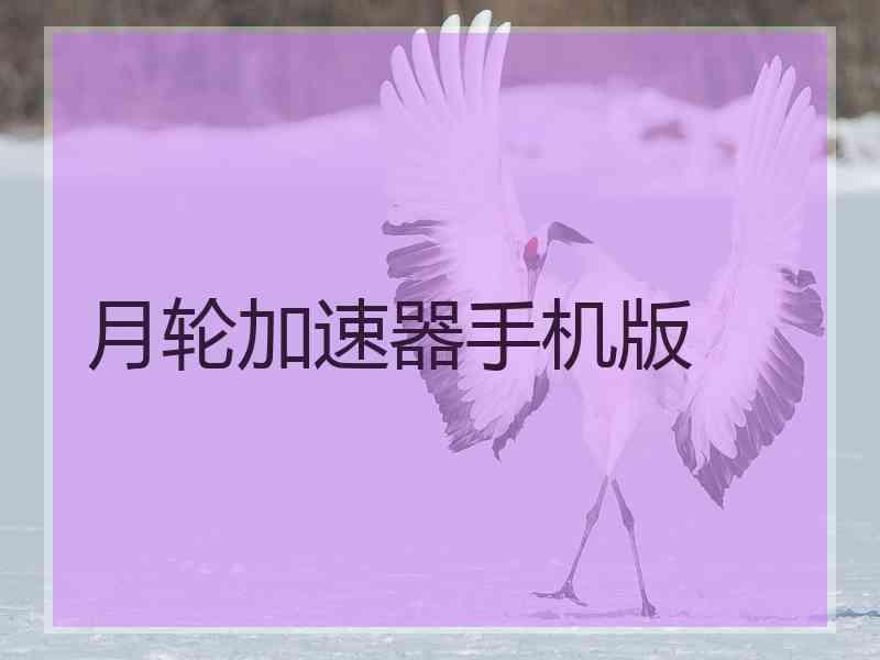 月轮加速器手机版