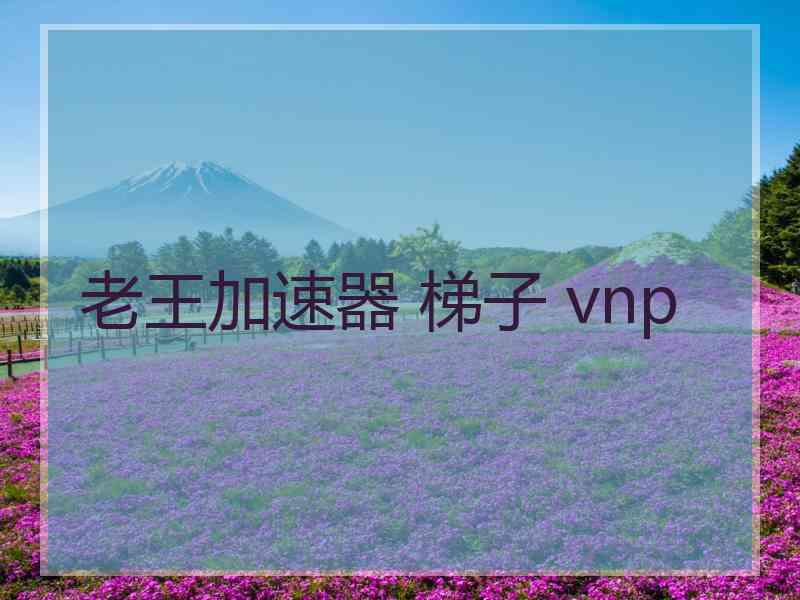 老王加速器 梯子 vnp