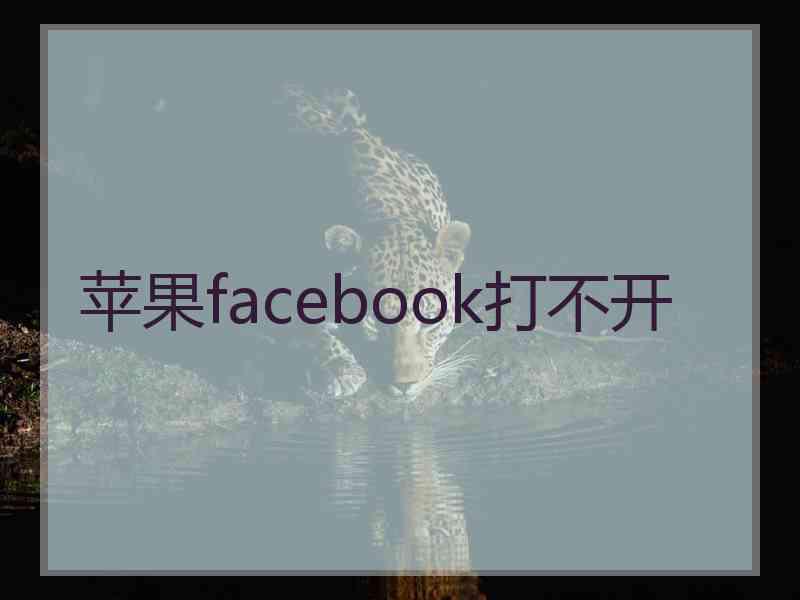 苹果facebook打不开