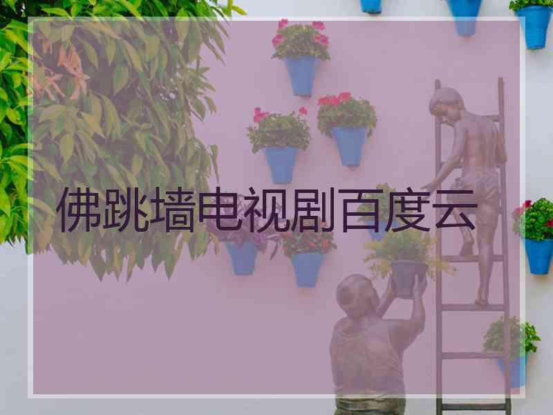 佛跳墙电视剧百度云