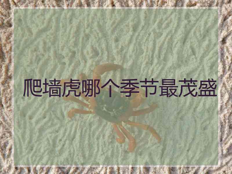 爬墙虎哪个季节最茂盛