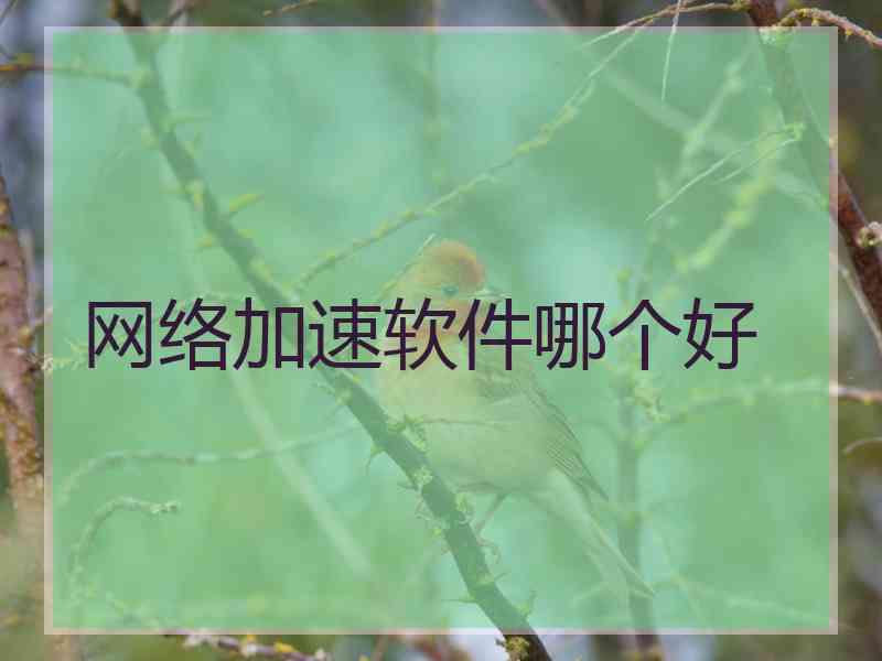网络加速软件哪个好