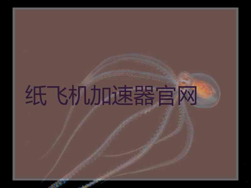 纸飞机加速器官网