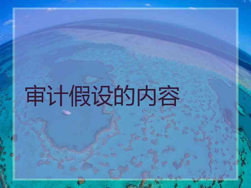 审计假设的内容