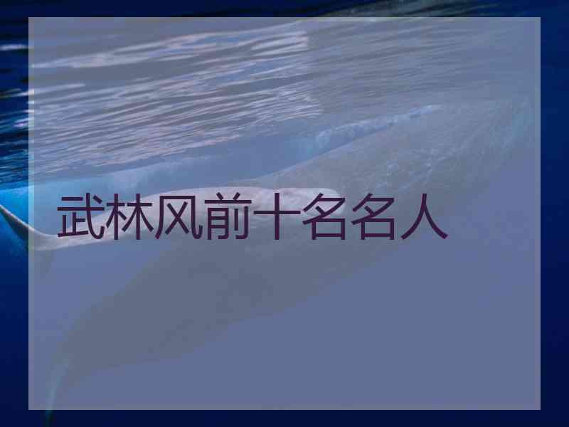 武林风前十名名人