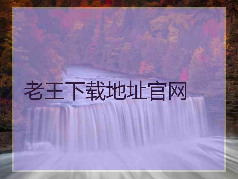 老王下载地址官网