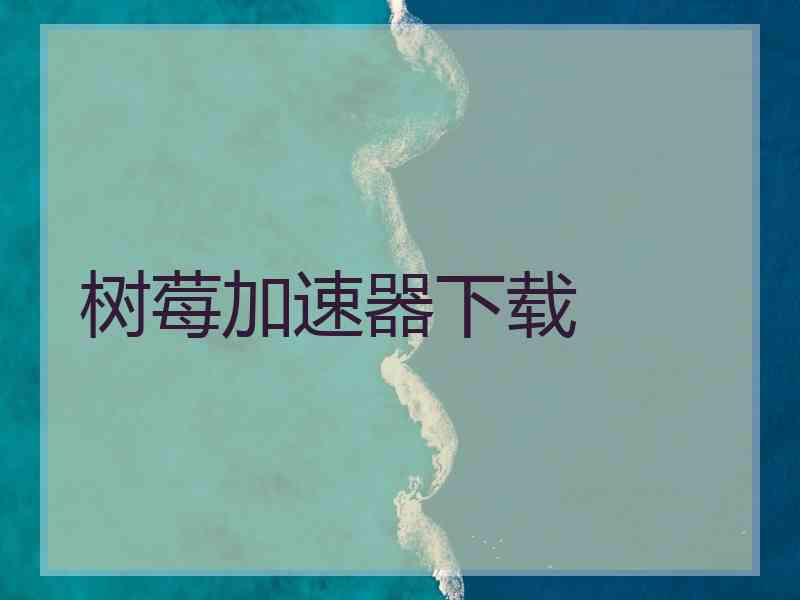 树莓加速器下载
