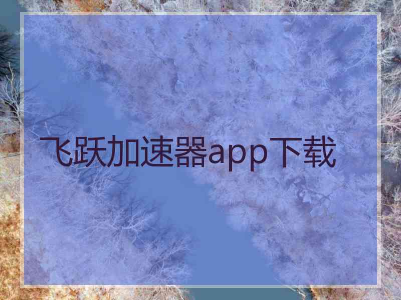 飞跃加速器app下载