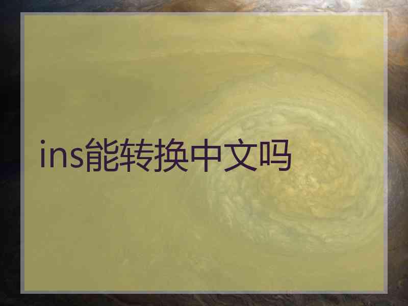 ins能转换中文吗