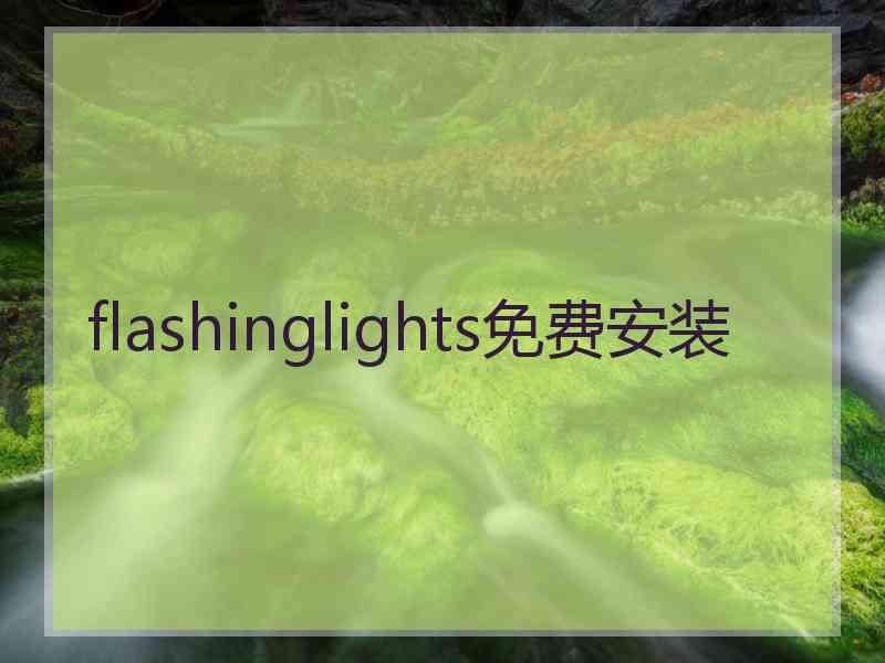 flashinglights免费安装